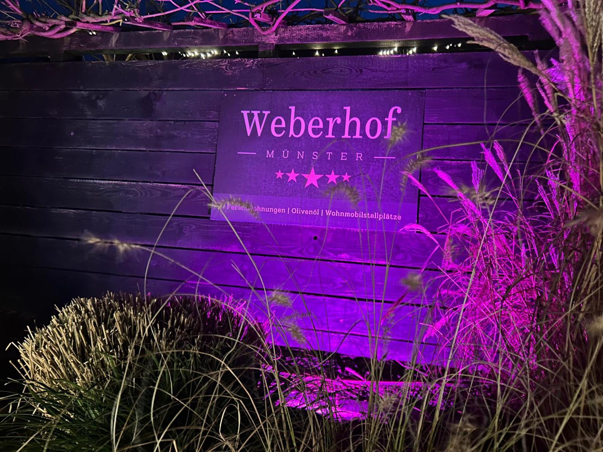 Weberhof - Muenster Apartment Ngoại thất bức ảnh